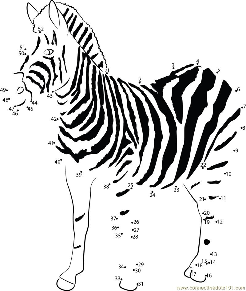 Young Zebra dot to dot printable worksheet - Connect The Dots