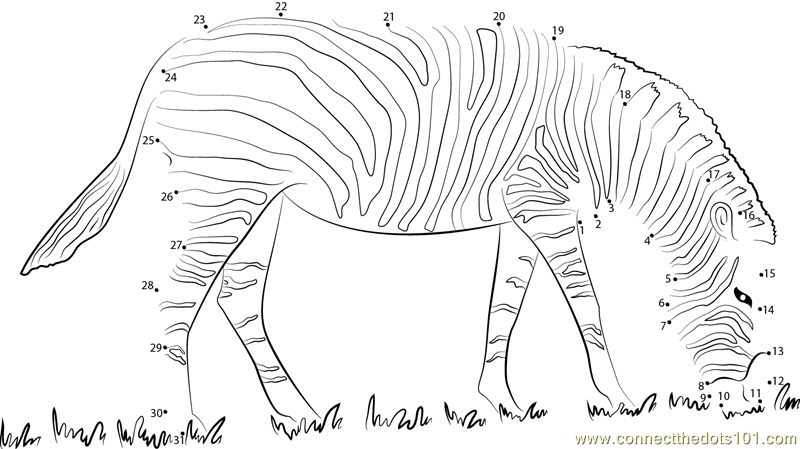 Zebra Black and White dot to dot printable worksheet - Connect The ...