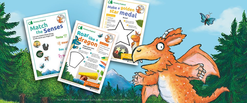 Zog activity sheets | Forestry England