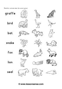 Zoo Animals Worksheet for 1st - 3rd Grade | Lesson Planet