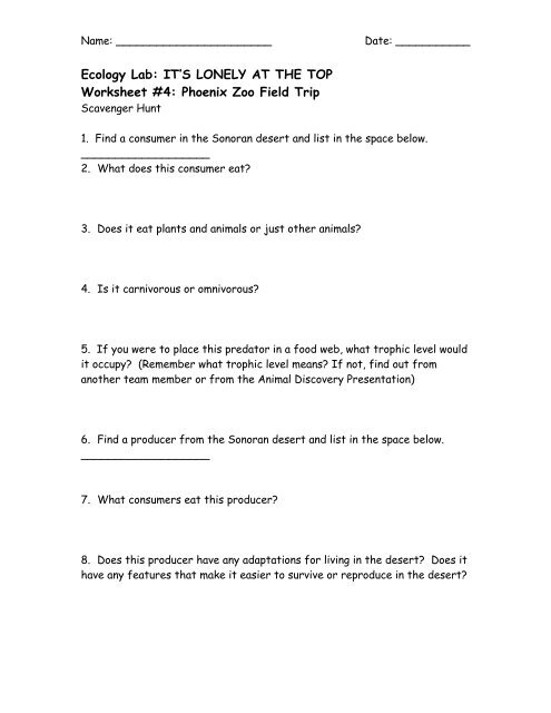 zoo field trip worksheet