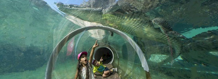Zoo Miami Coupons &  Promo Codes - Save 15% | Destination Coupons