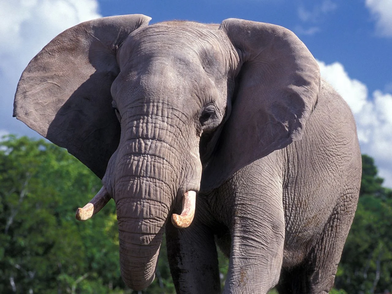zoo miami coupons printable 2018