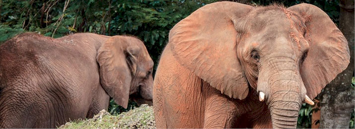 zoo miami coupons printable 2018