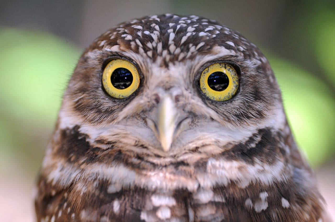 zoo miami coupons printable 2018