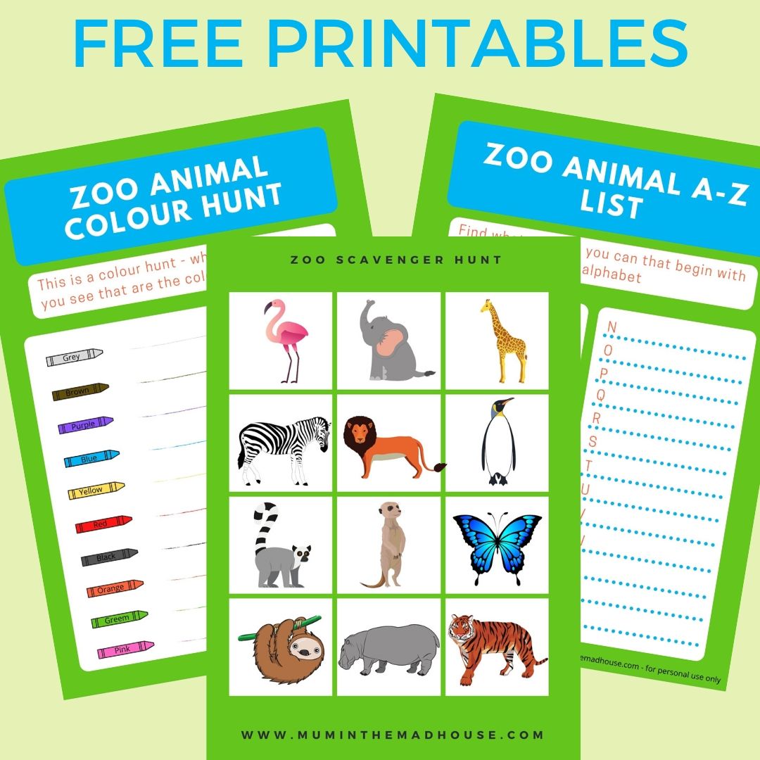zoo scavenger hunt worksheet