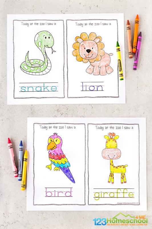 zoo worksheet for preschool