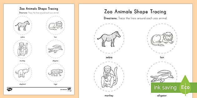 zoo worksheet for preschoolers