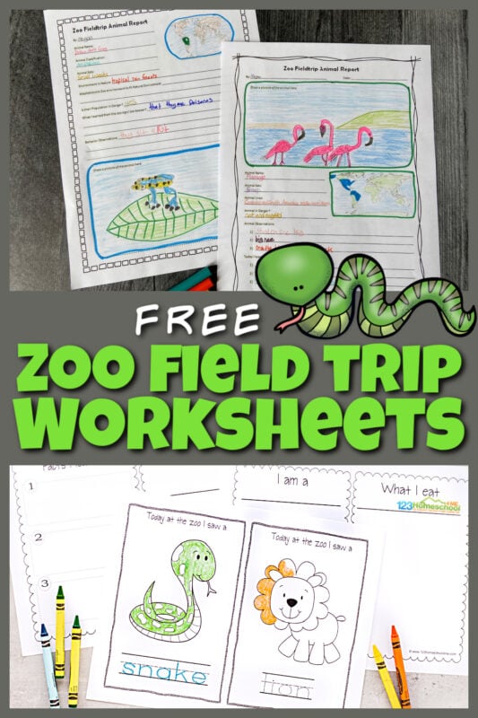 ? FREE Zoo Field trip Worksheet and Animal Reports